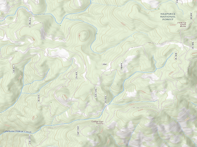 USGS topographic map of USFS dispersed camp — ID #285