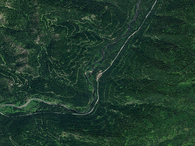 Aerial image of USFS dispersed camp — ID #287