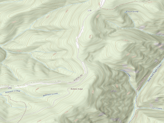 USGS topographic map of USFS dispersed camp — ID #294