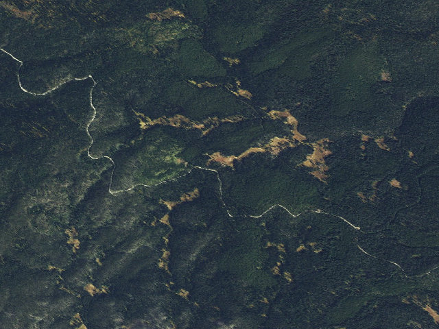 Aerial image of USFS dispersed camp — ID #299