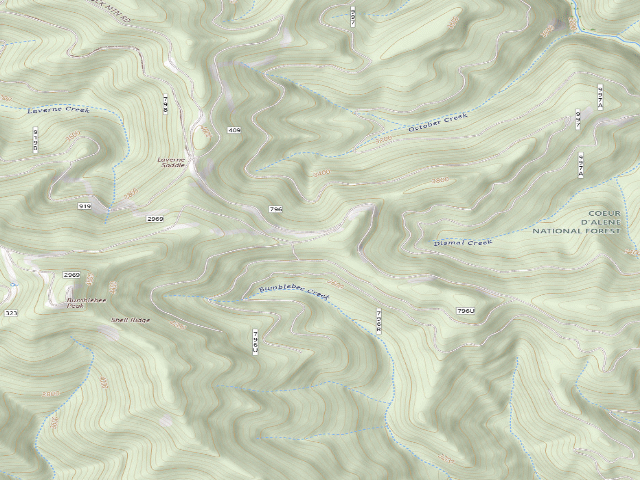 USGS topographic map of USFS dispersed camp — ID #300