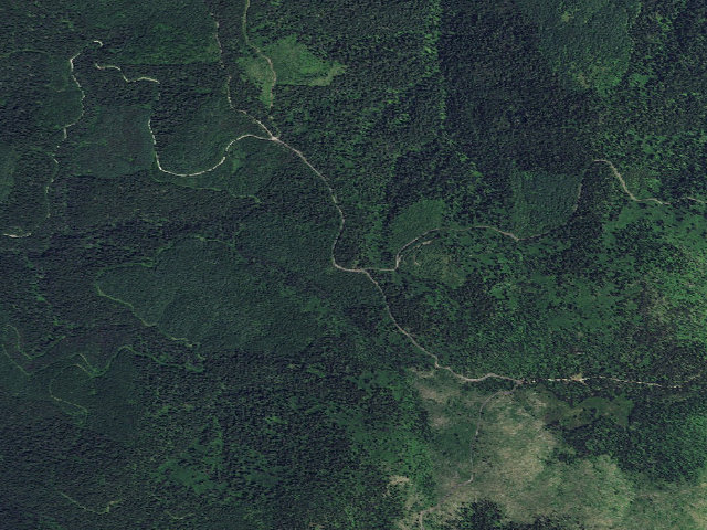 Aerial image of USFS dispersed camp — ID #301
