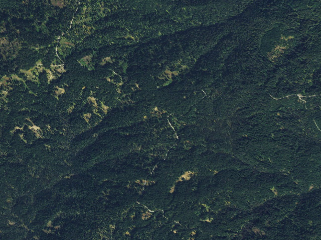 Aerial image of USFS dispersed camp — ID #303