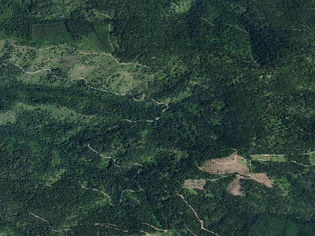 Aerial image of USFS dispersed camp — ID #305