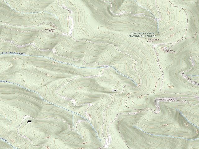 USGS topographic map of USFS dispersed camp — ID #305