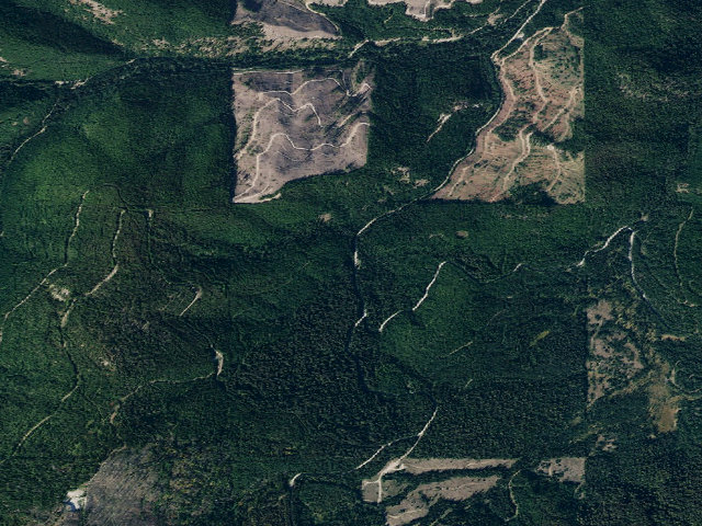 Aerial image of USFS dispersed camp — ID #306