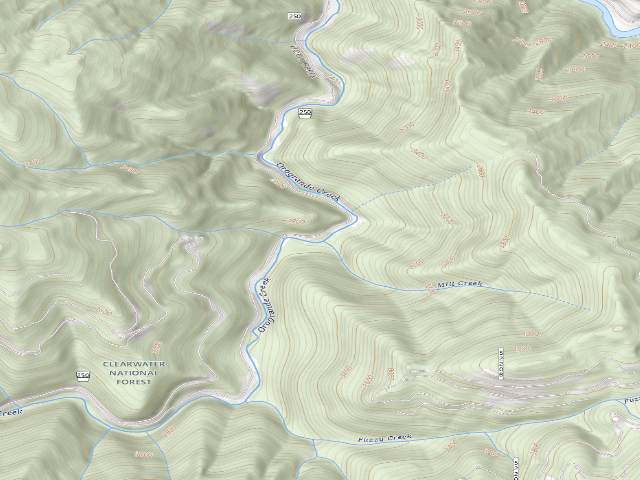 USGS topographic map of USFS dispersed camp — ID #307