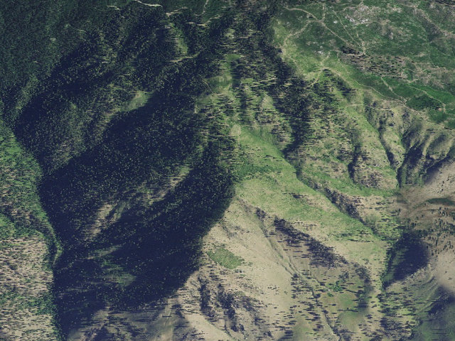 Aerial image of USFS dispersed camp — ID #308