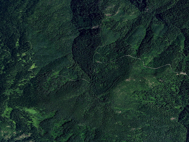Aerial image of USFS dispersed camp — ID #31