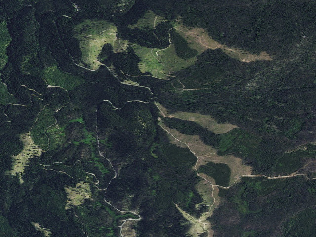 Aerial image of USFS dispersed camp — ID #310