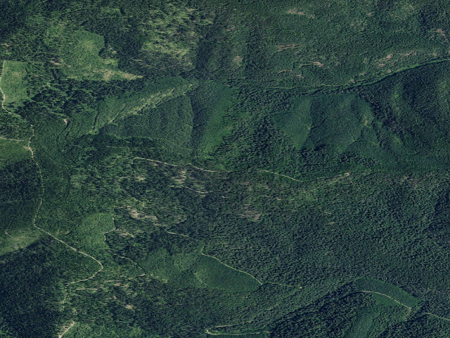Aerial image of USFS dispersed camp — ID #311
