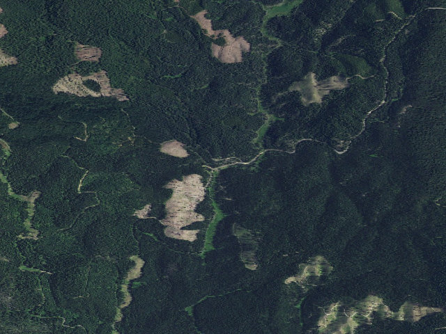 Aerial image of USFS dispersed camp — ID #313