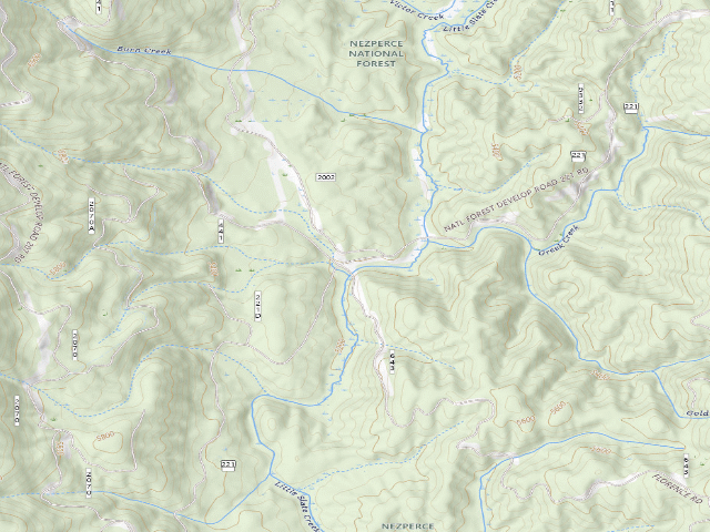 USGS topographic map of USFS dispersed camp — ID #313