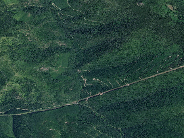 Aerial image of USFS dispersed camp — ID #314