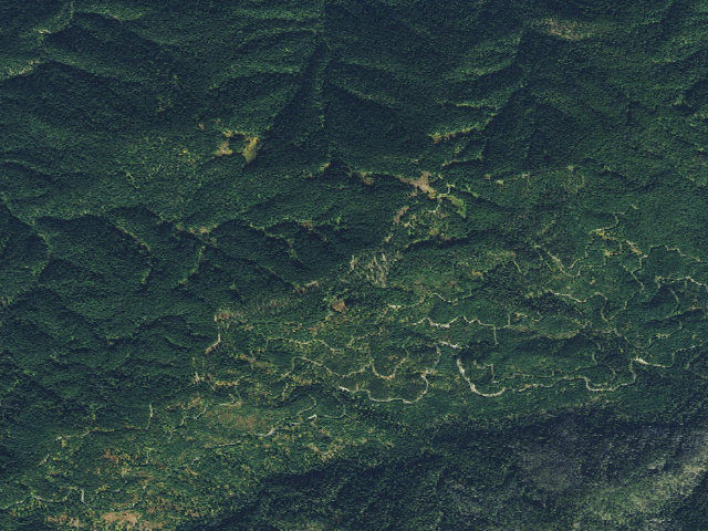 Aerial image of USFS dispersed camp — ID #315