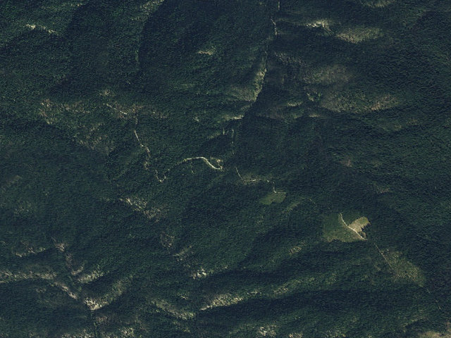 Aerial image of USFS dispersed camp — ID #318