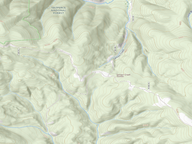 USGS topographic map of USFS dispersed camp — ID #319