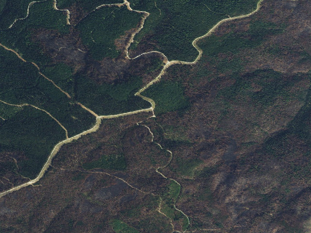 Aerial image of USFS dispersed camp — ID #320