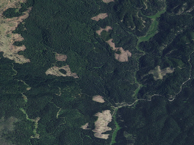 Aerial image of USFS dispersed camp — ID #330