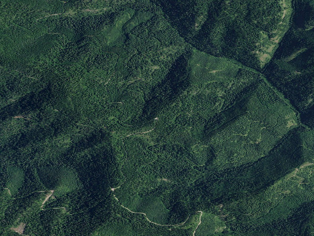 Aerial image of USFS dispersed camp — ID #331