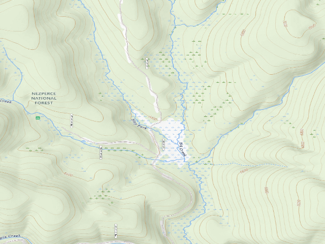USGS topographic map of USFS dispersed camp — ID #333