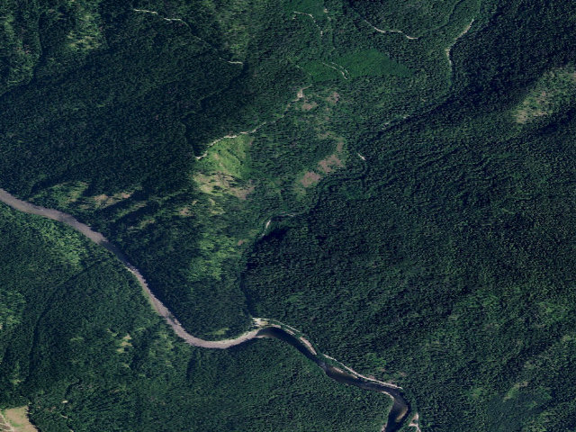 Aerial image of USFS dispersed camp — ID #339
