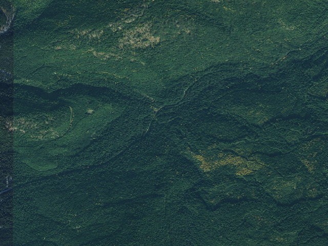 Aerial image of USFS dispersed camp — ID #341