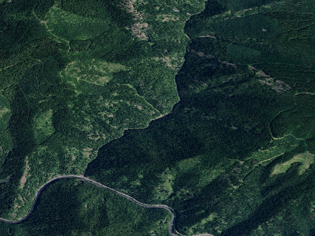 Aerial image of USFS dispersed camp — ID #346