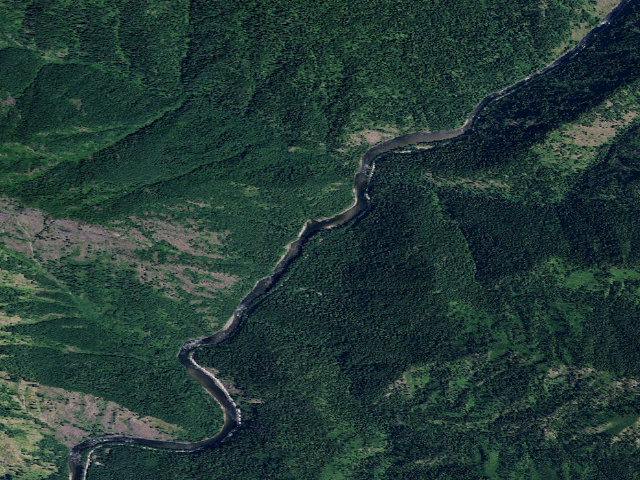 Aerial image of USFS dispersed camp — ID #350