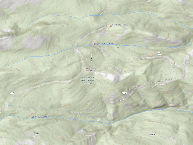 USGS topographic map of USFS dispersed camp — ID #358