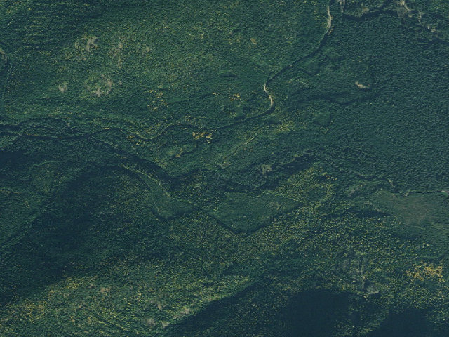 Aerial image of USFS dispersed camp — ID #362