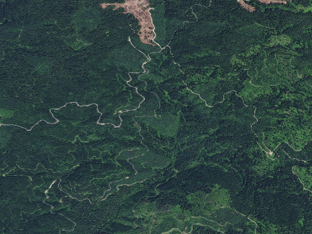 Aerial image of USFS dispersed camp — ID #365
