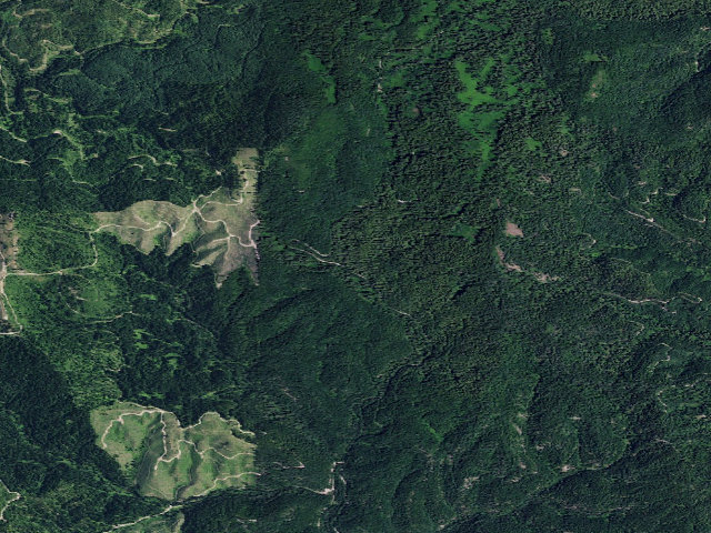 Aerial image of USFS dispersed camp — ID #372