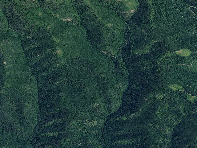 Aerial image of USFS dispersed camp — ID #376