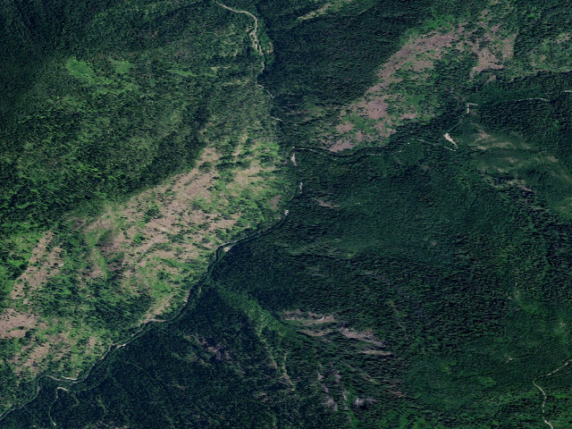 Aerial image of USFS dispersed camp — ID #379