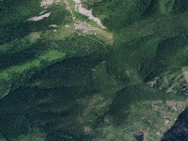 Aerial image of USFS dispersed camp — ID #384