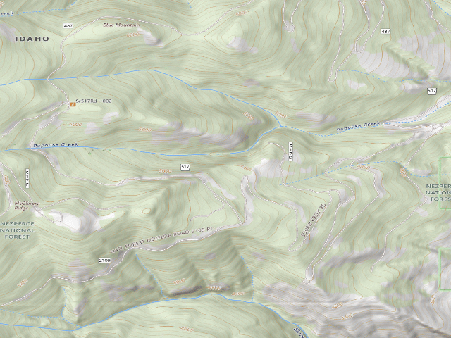 USGS topographic map of USFS dispersed camp — ID #387
