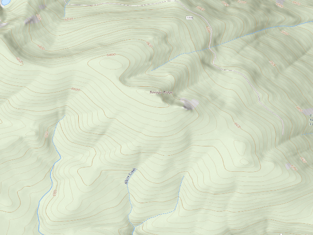 USGS topographic map of USFS dispersed camp — ID #388