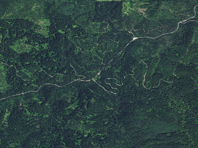 Aerial image of USFS dispersed camp — ID #391