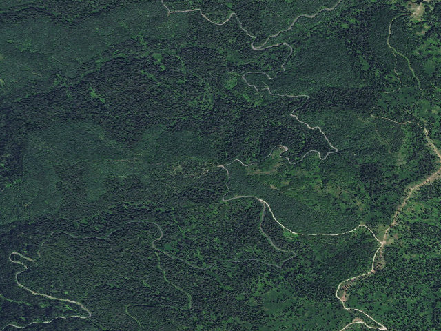 Aerial image of USFS dispersed camp — ID #393