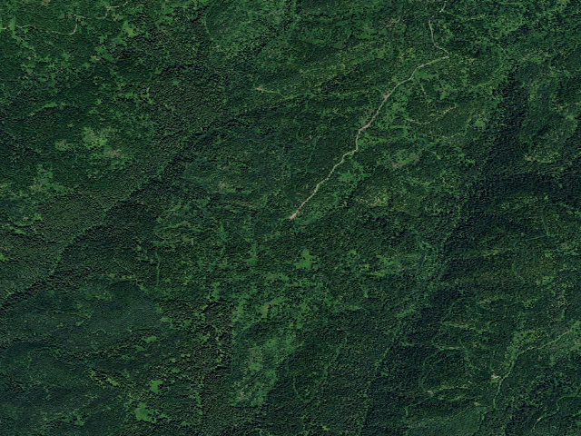 Aerial image of USFS dispersed camp — ID #394