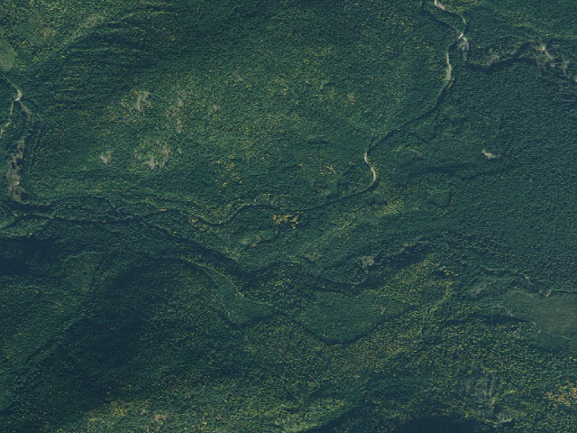 Aerial image of USFS dispersed camp — ID #4