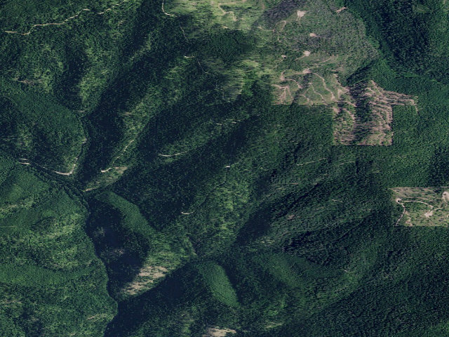 Aerial image of USFS dispersed camp — ID #40