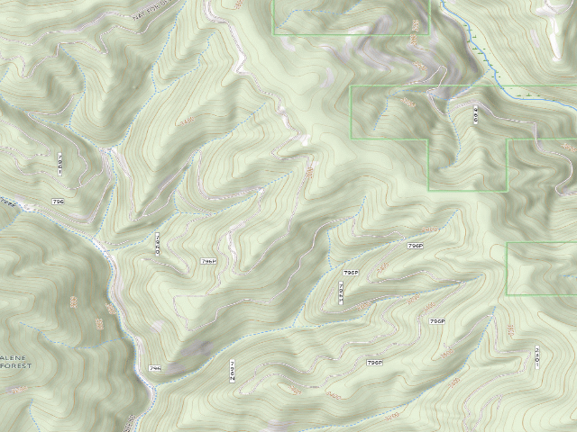 USGS topographic map of USFS dispersed camp — ID #40