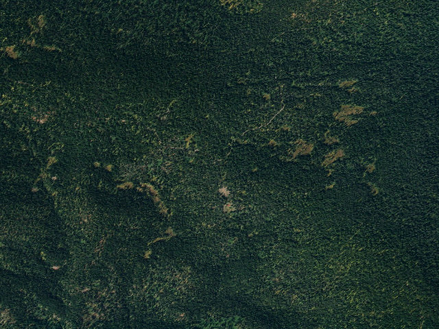 Aerial image of USFS dispersed camp — ID #402