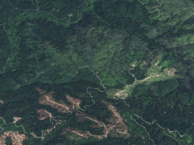 Aerial image of USFS dispersed camp — ID #404