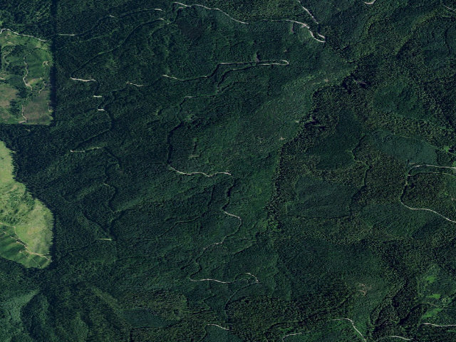 Aerial image of USFS dispersed camp — ID #407