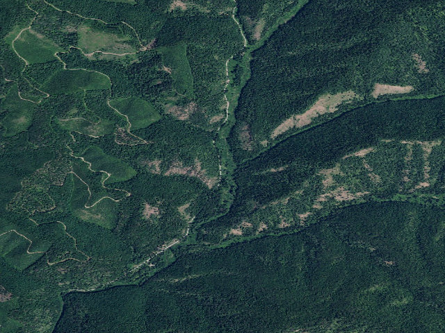 Aerial image of USFS dispersed camp — ID #410