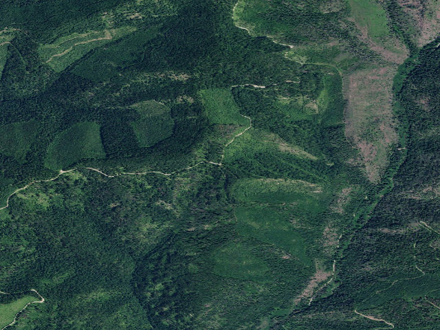 Aerial image of USFS dispersed camp — ID #416