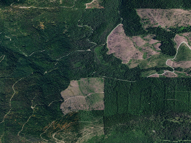 Aerial image of USFS dispersed camp — ID #42